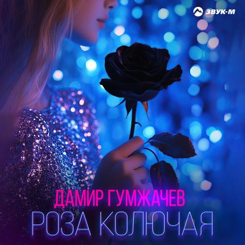 Дамир Гумжачев - Роза колючая