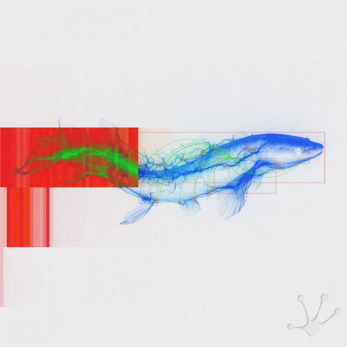 Funk Tribu & Linds - Shock