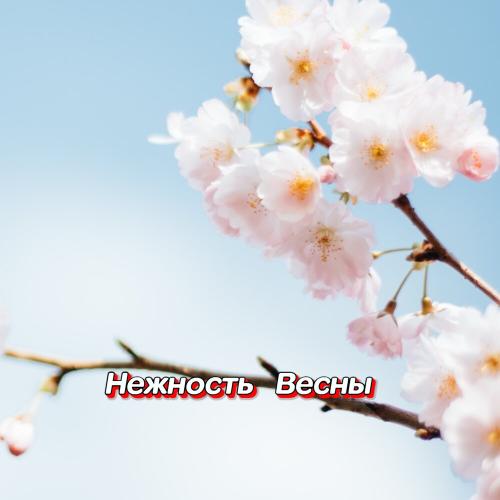 Гравитация - Я БЛАГОДАРНА СУДЬБЕ