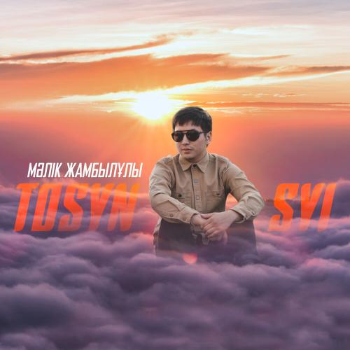Мәлік Жамбылұлы - Tosyn Syi