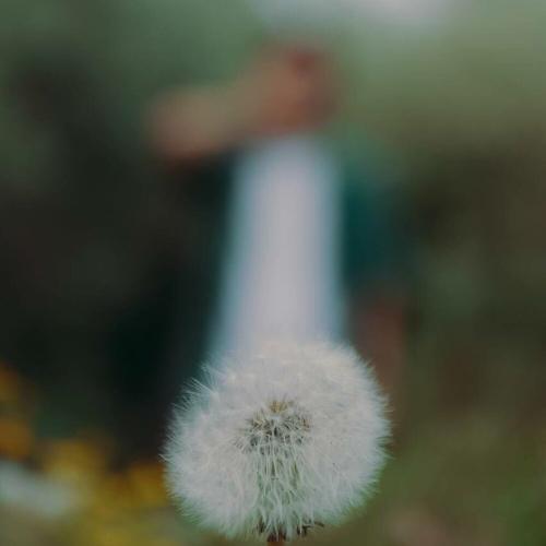 Meyr - Saǵan ánіm