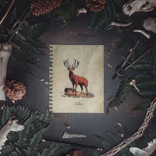 Of The Trees & LYNY - Hollow