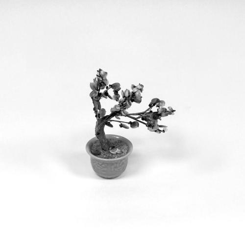 Pet Deaths - Call Heaven