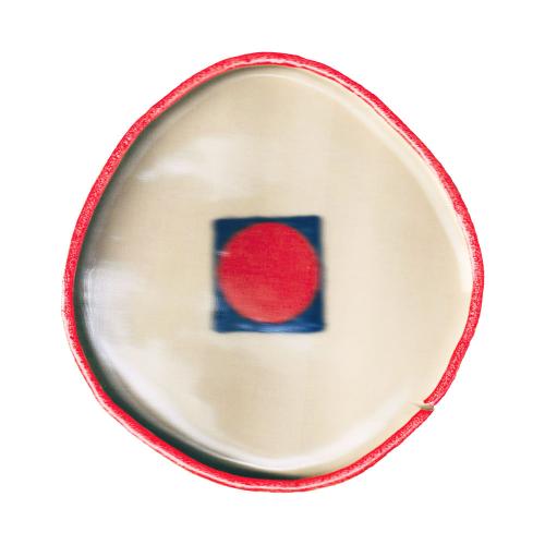 Philine Sonny - Dog Bite