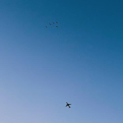 Поезд в август - прощание