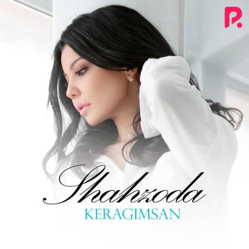 Shahzoda - Yillar