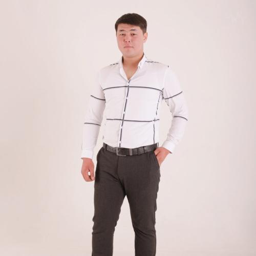 Шыңғыс Алимханов - Ауылда өткен дәуірім