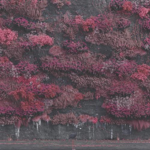 Sleep Token - Emergence