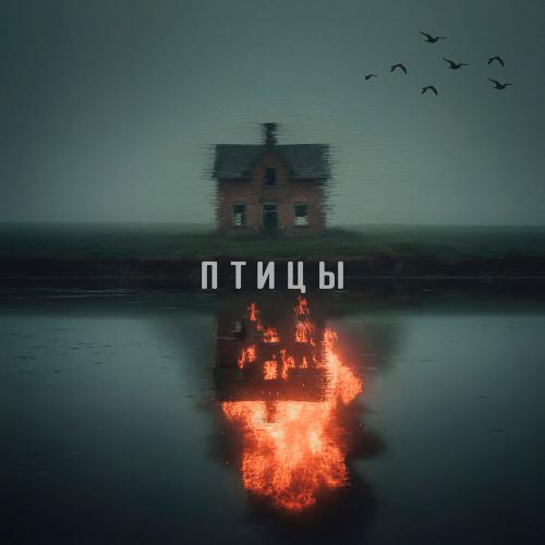 Spank your monkey - Птицы