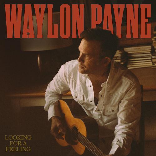 Waylon Payne - Looking For A Feeling