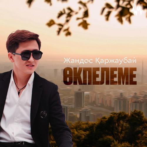 Жандос Қаржаубай - Өкпелеме